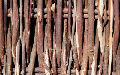 Nature Art and Craft Time