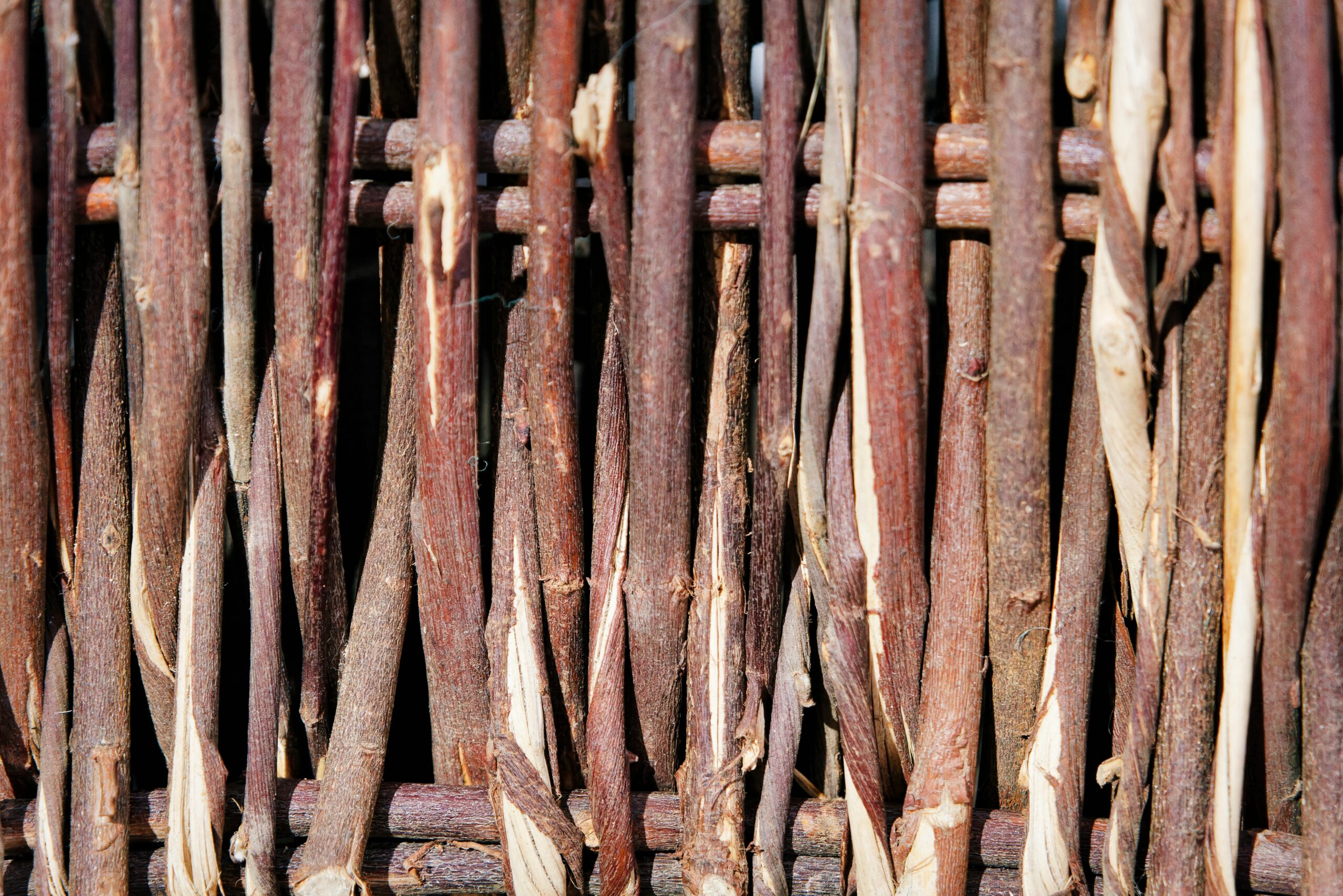 Nature Art and Craft Time