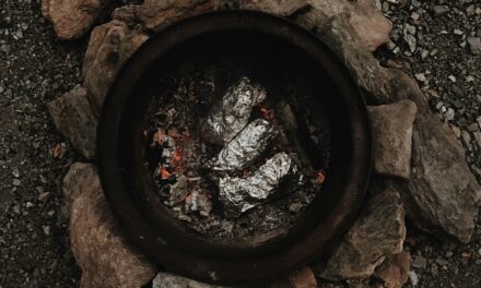 Foil Packet Magic: Easiest Camp Meal Hack Ever