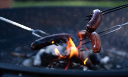 What to Eat: Simple Camp Meals for Beginners
