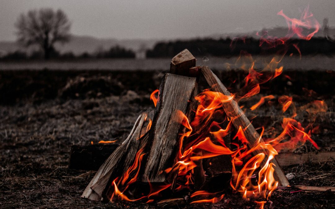 Campfire Basics: Building, Safety, and S’mores