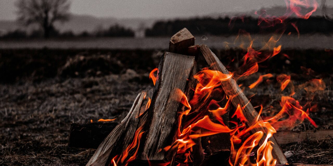 Campfire Basics: Building, Safety, and S’mores