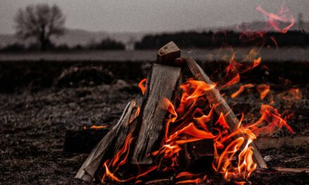 Campfire Basics: Building, Safety, and S’mores