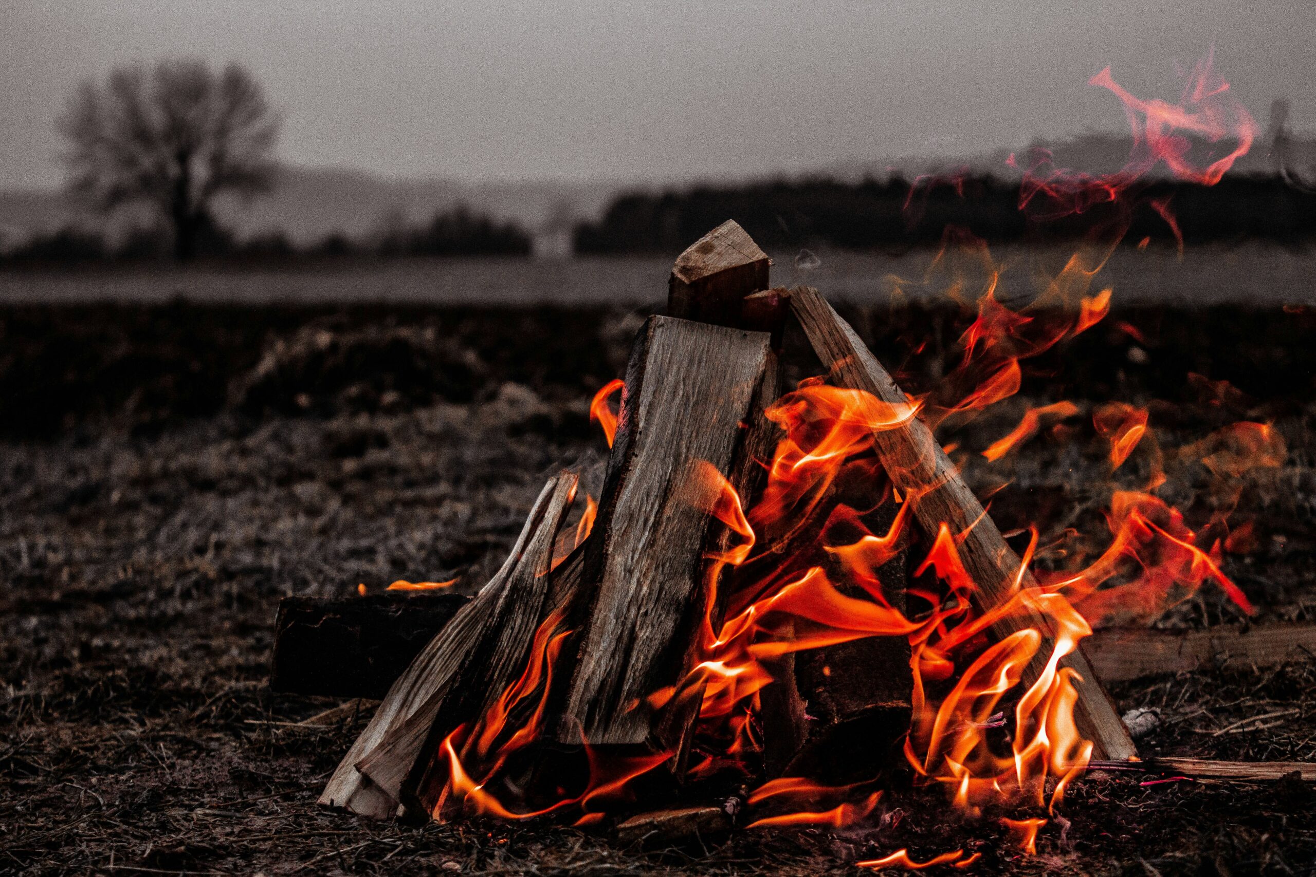 Campfire Basics: Building, Safety, and S’mores