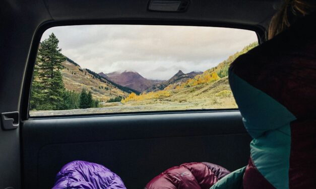 DIY Sleeping Setups for Van & Car Camping
