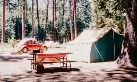 Safety Tips for Dispersed Camping